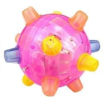 Portable Dog Fun Ball