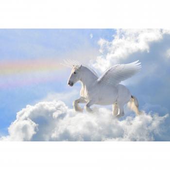 Papermoon Pegasus in den Wolken – Fototapete, glatter Effekt