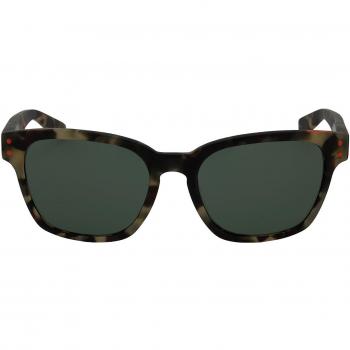 Wayfarer Nike Sun 203 EV0877 –55–19–140 in Braun
