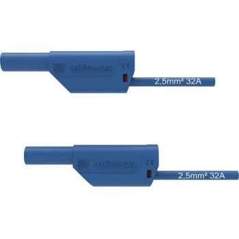 Schuetzinger VSFK 8500 Safety Test Lead with 4 mm Plugs 100 cm Blue