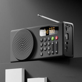 Tragbarer Bluetooth Lautsprecher mit FM Radio und USB-Support