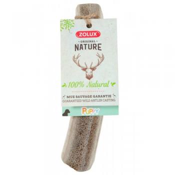 Bâton Masticable Bois de Cerf Puppy, 15 cm