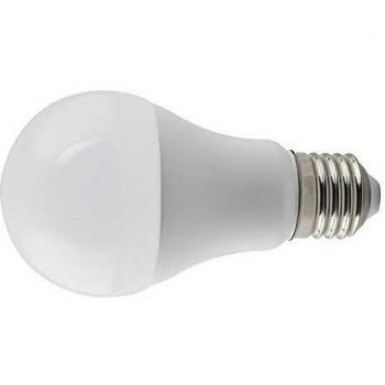 Bombilla Estándar LED 17W E27 6400K