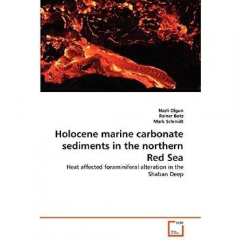 Holocene marine carbonate sediments in the northern Red Sea