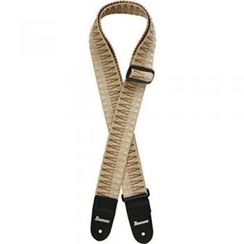 Five‑String Bass Guitar (Ibanez)