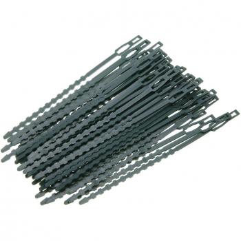 Bridas de Plástico para Soporte de Árboles