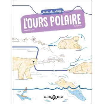 Suis du doigt l'ours polaire