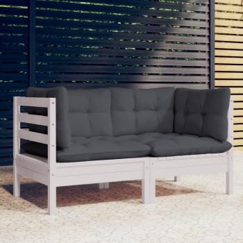 VidaXL 2-Sitzer-Gartensofa mit Kissen in Anthrazit und Kiefernholz