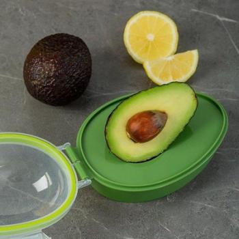 Avocado Storage Box