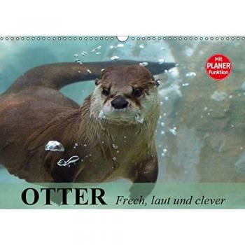 Otter. Frech, laut und clever