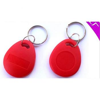 Porte-clés carte à puce NFC – 100 unités 13.56 MHz F08