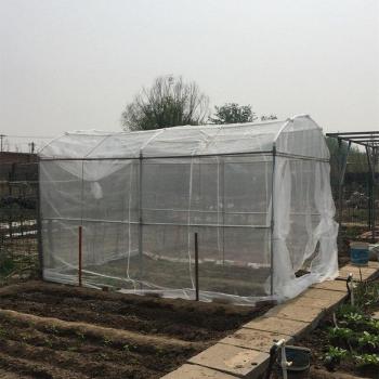 Anti-Bird Netting 80 Mesh 2M Wide