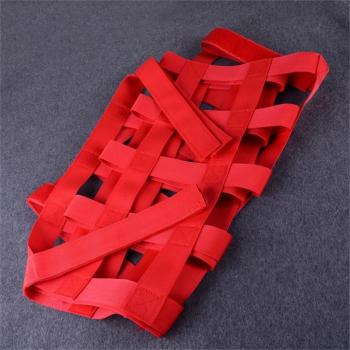 Red de Almacenamiento Trasero Roja