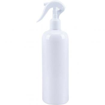 Brumisateur professionnel