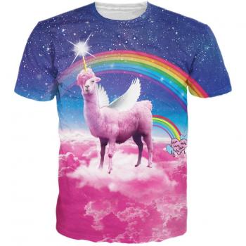 Colorful Llamacorn Top