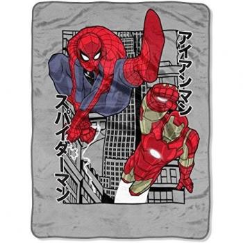 Avengers Power City Micro Raschel Blanket, 46 x 60