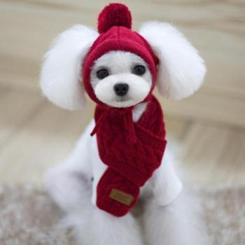 Winter Stripes Dog Hat and Scarf