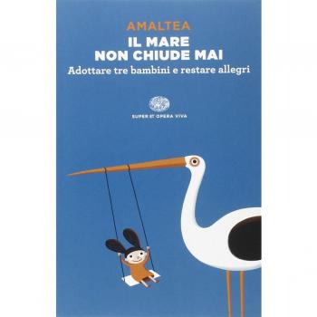 Il mare non chiude mai. Adottare tre bambini e restare allegri
