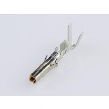 Molex MINIFIT MOL Strom
