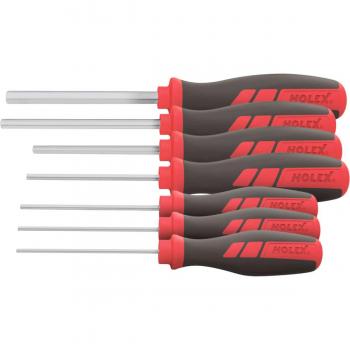Set Chiavi Maschio HOLEX con Impugnatura 7
