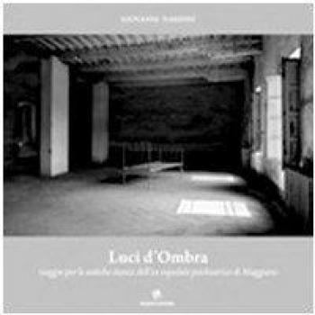 Luci d'ombra. Viaggio per le antiche stanze dell'ex ospedale psichiatrico di Maggiano
