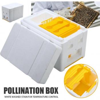 Bee Hive Foam Frame Kit