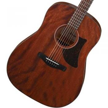 Ibanez AAD140-OPN #279