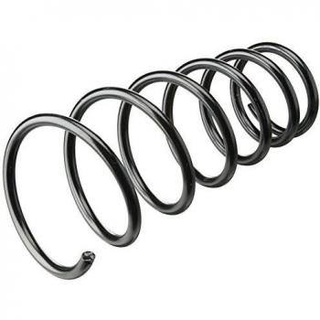 Kilen 64019 Rear Coil Spring