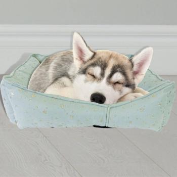 Nighttime Star Pet Sofa Bed