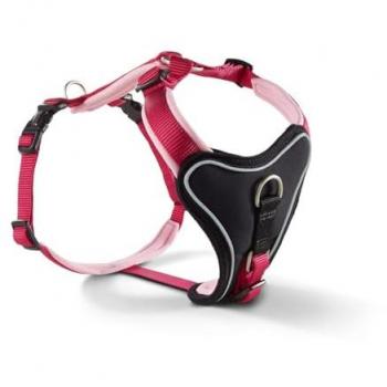 Wolters Professional Comfort Geschirr himbeer/rosé 40-45 cm x 25 mm