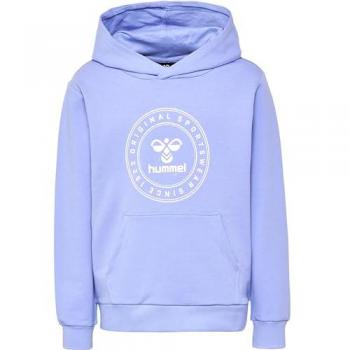 Hummel Kapuzenpullover Cuatro Circle