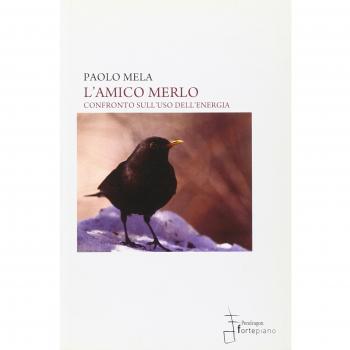 L'amico merlo. Confronto sull'uso dell'energia