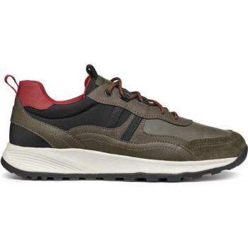 VertTerre Geox 41