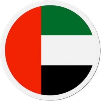Mixed Resin 8 cm Round Magnets – 50 Count – United Arab Emirates