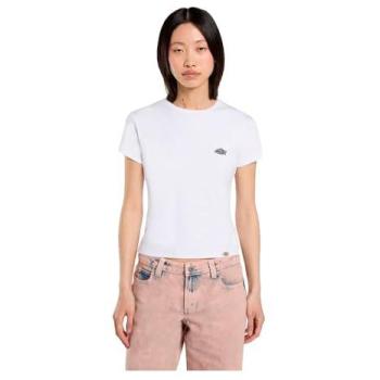 Dickies Maglietta a Maniche Corte Gladeville White M
