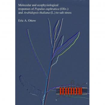 Molecular and ecophysiological responses of Populus euphratica