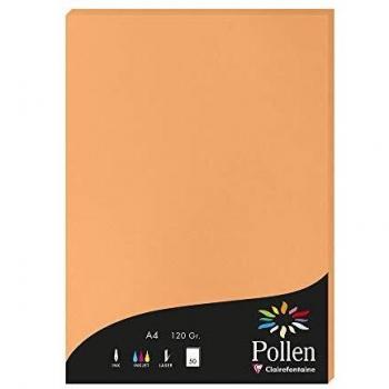 Clairefontaine 50 feuilles Pollen 21x29,7 cm