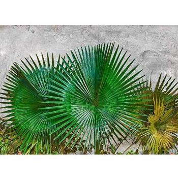 Décor Mural Agave Élégant