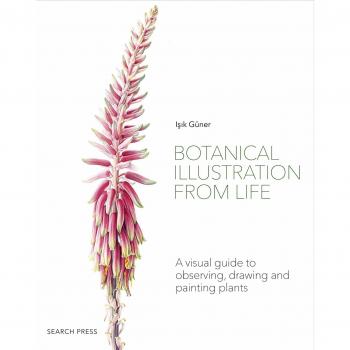 Botanical Illustration from Life : A Visual Guide to Observing, Drawing and Painting Plants