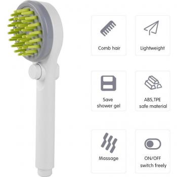 Brosse de Massage et Pulvérisation