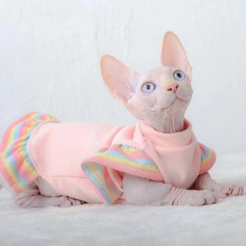Arcoíris Felino Elegante