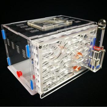 Ant Workshop Acrylic Display