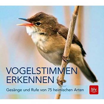 Andreas Schulze Vogelstimmen Erkennen / Cd: Gesänge Und Rufe Von 75 Heimischen Arten