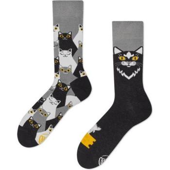 Chaussettes Many Mornings Pattes de Chat Gris 35/38