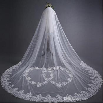 Long Cathedral Wedding Veil with Lace Appliques