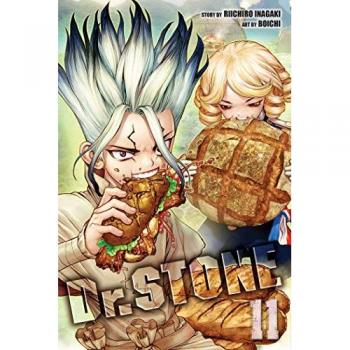 Dr. STONE, Vol. 11 Paperback / softback