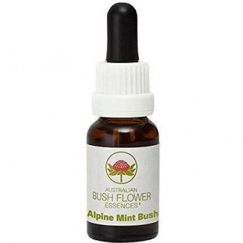 ALPINE MINT BUSH Essences de fleurs australiennes