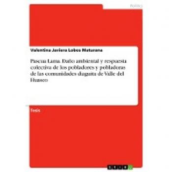 Pascua Lama. Daño ambiental y respuesta colectiva de los pobladores y pobladoras de las comunidades diaguita de Valle del Huasco