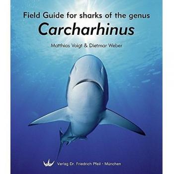 Field Guide for Sharks of the Genus Carcharhinus