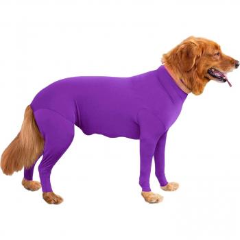 Puppy Pug Coat